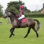 Aubrion Hyde Park Saddlecloth - Young Rider Star