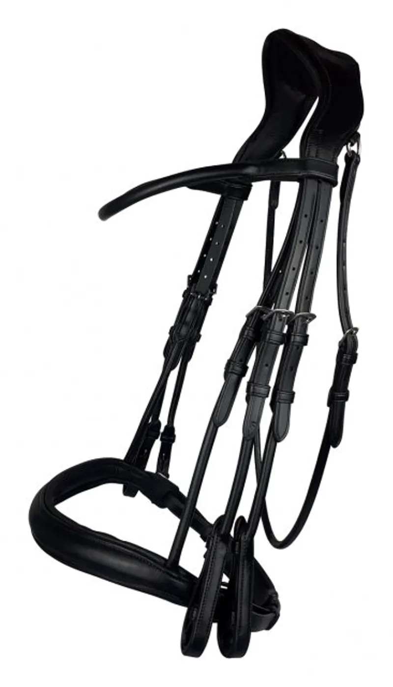 Eco Rider Freedom Double Bridle Black-1