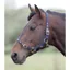 Shires Adjustable Nylon Headcollar Navy