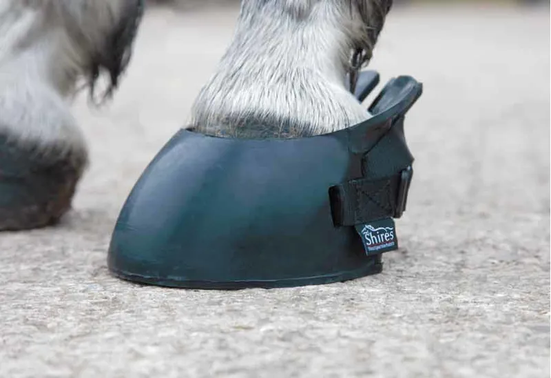 Shires Temporary Shoe Boot In Black