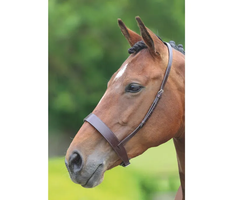 Velociti GARA Hunter Cavesson Noseband in BROWN