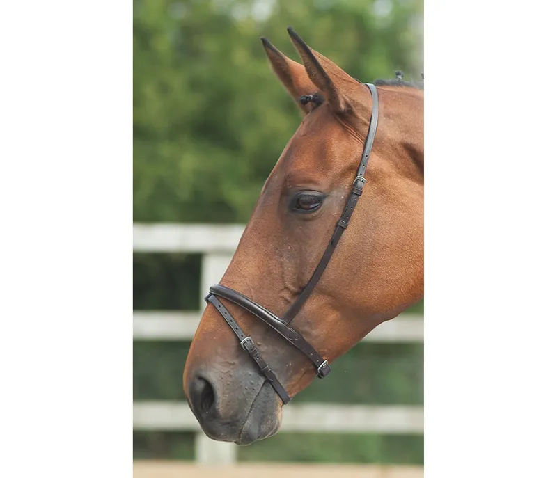 Velociti GARA Flash Noseband in BLACK
