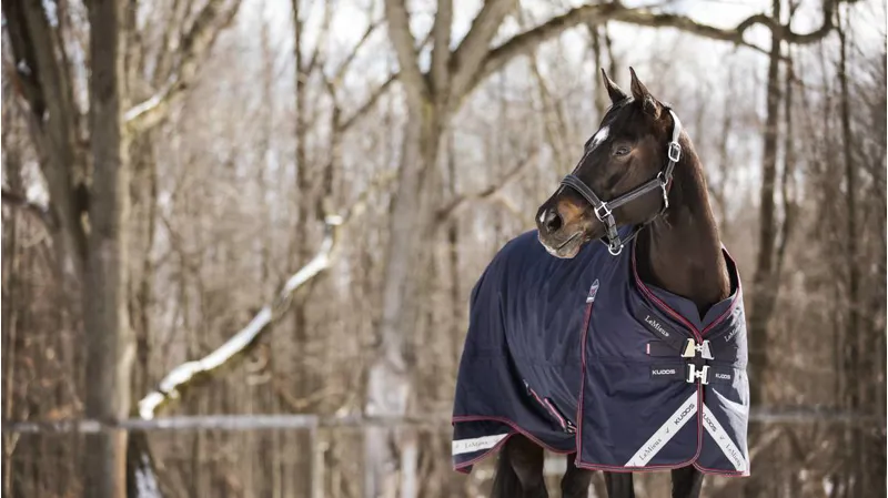 LeMiuex Kudos Turnout Rug 350g Navy