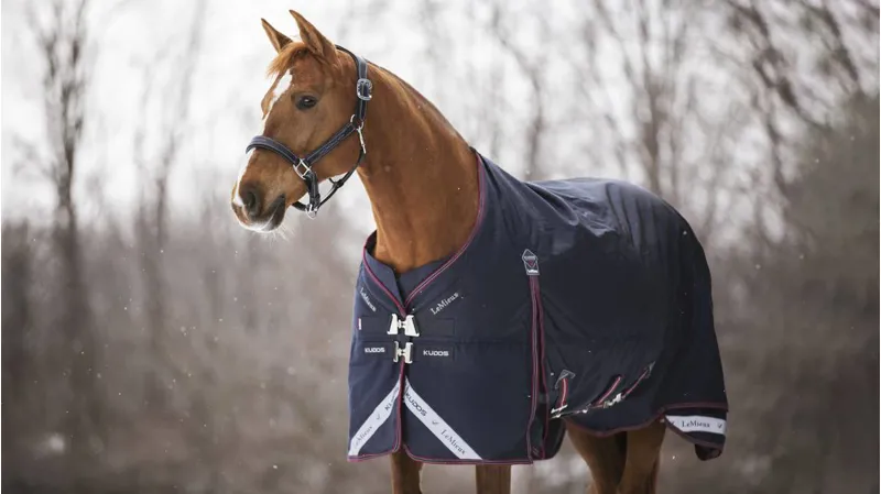 LeMiuex Kudos Turnout Rug 350g Navy-3