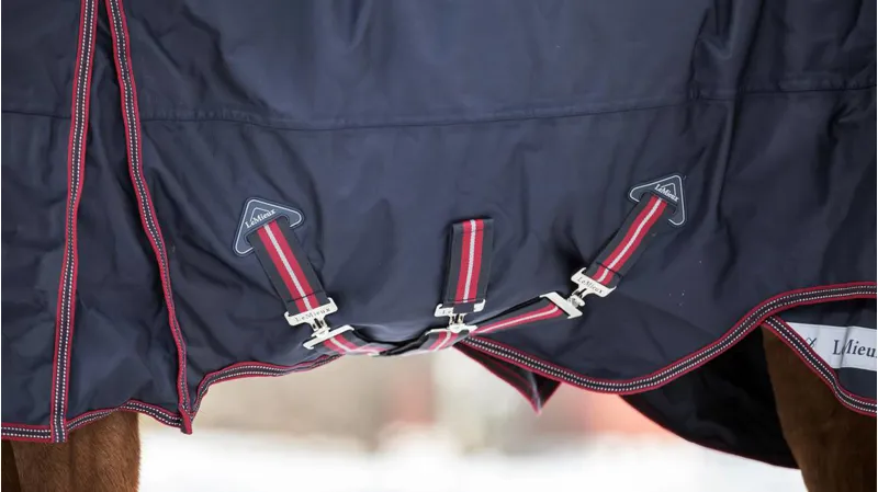 LeMiuex Kudos Turnout Rug 350g Navy-6