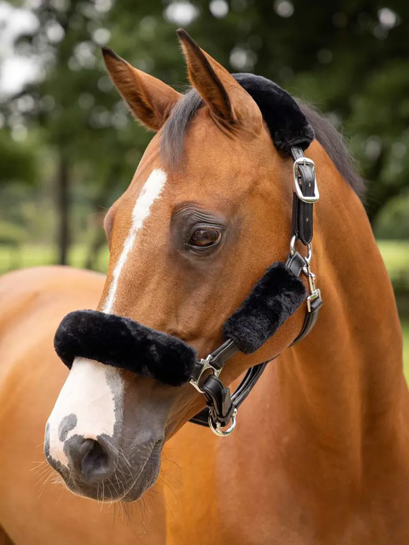 LeMieux Simuwool Headcollar Set Black One Size