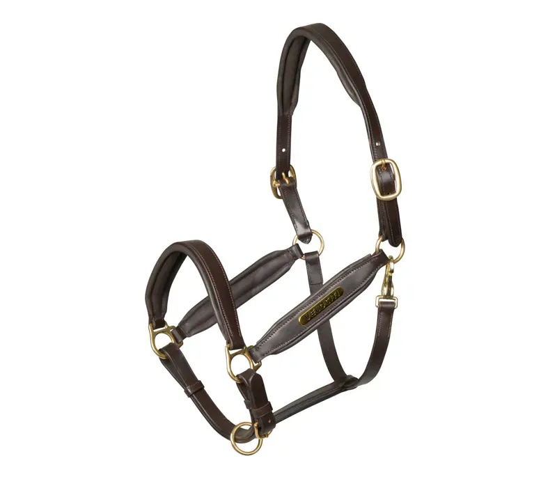 Velociti Gara Leather Headcollar in Havana