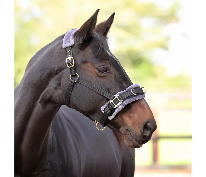 Shires Fleece Lined Lunge Cavesson in Black