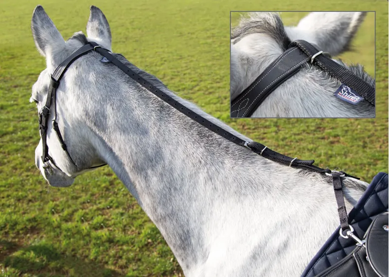 Shires One Size Daisy Rein In Black