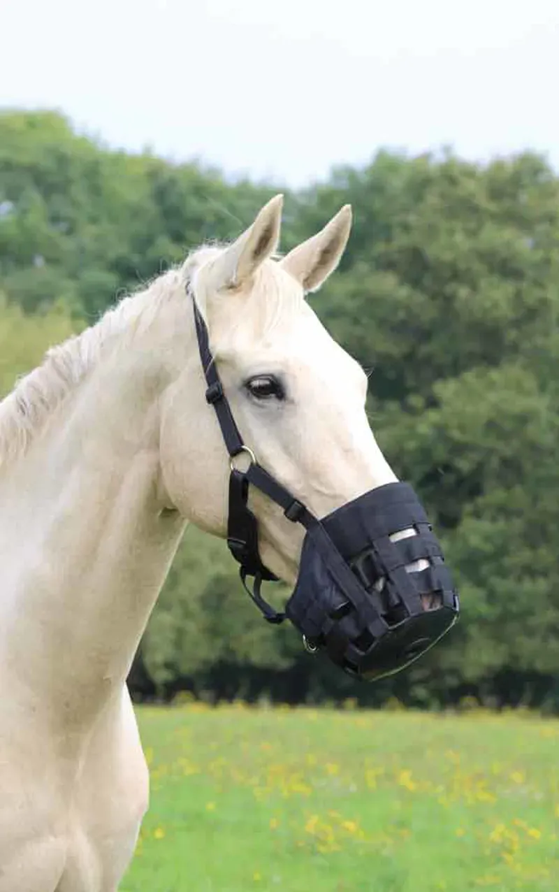 Shires Comfort Grazing Muzzle In Black