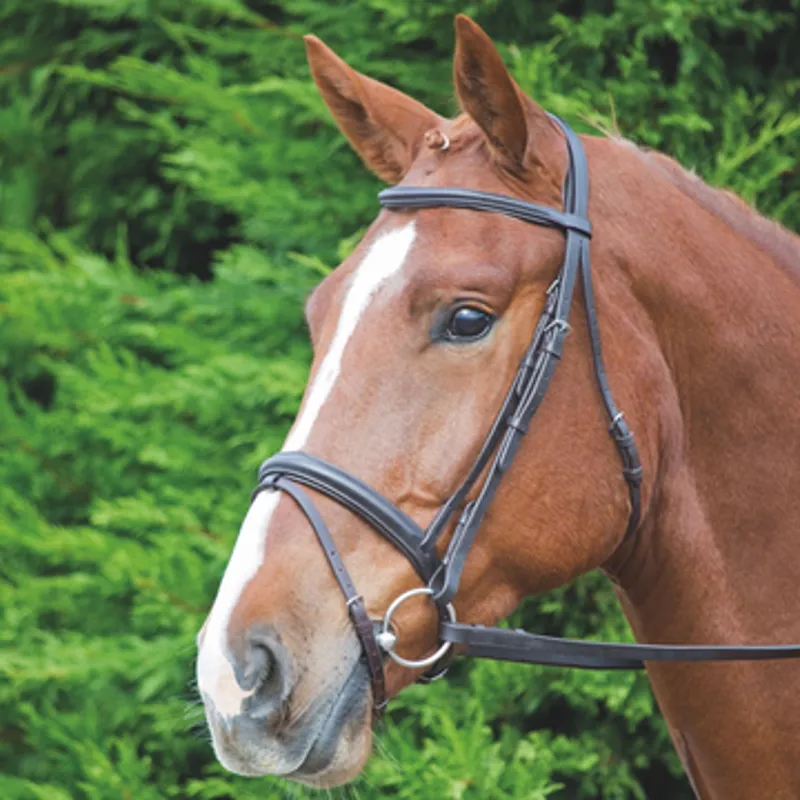 Velociti GARA Comfort Fit Bridle in BLACK-1