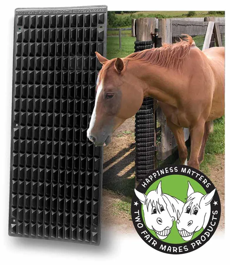 Shires One Size Equine Scratcher In Black