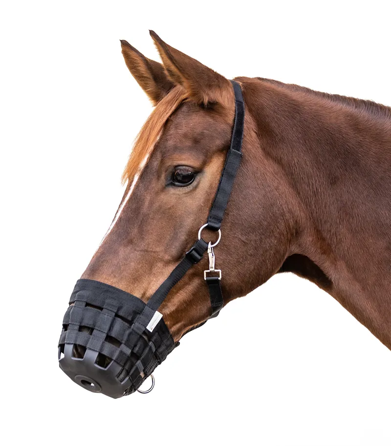 Waldhausen Grazing Muzzle Black -1
