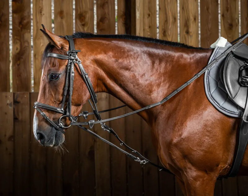 Dy'on Gogue Nylon Ropes Black