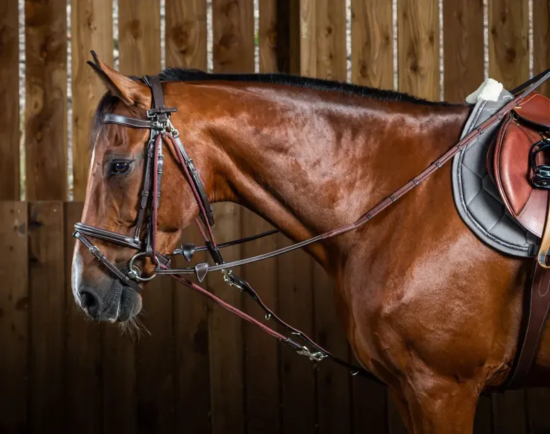 Kentucky Dy'on Leather/Nylon Draw Reins 5/8 Brown