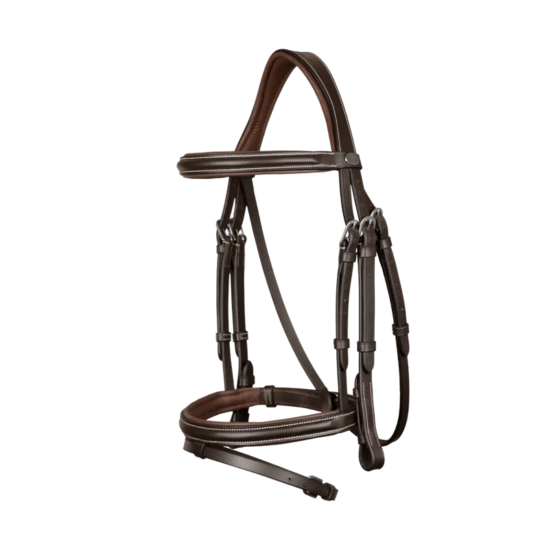 Dy'on Flash Noseband Bridle Brown-1