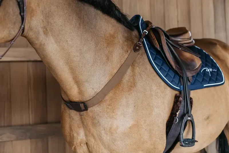 Dy'on Elastic Breastplate Brown