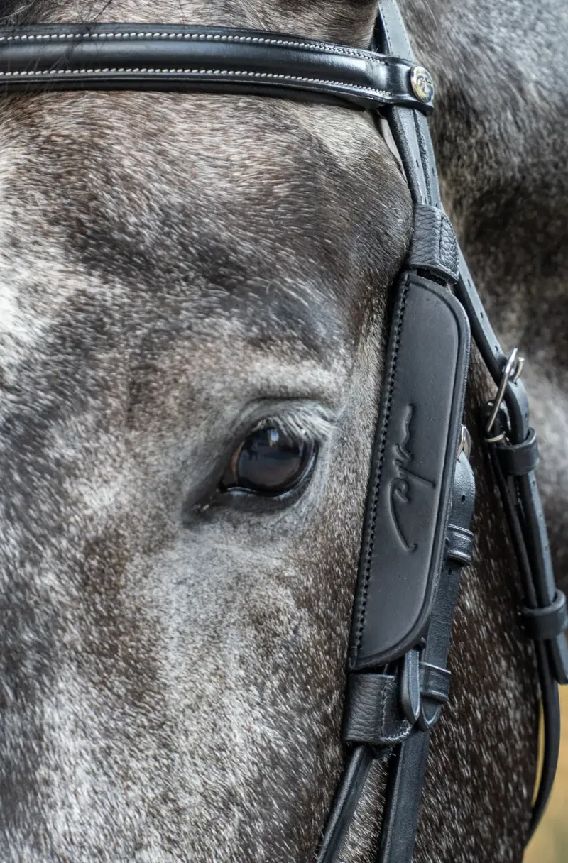 Dy'On Blinkers Black