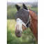 Flyguard Fine Mesh Fly Mask with Ears and Nose in BLACK