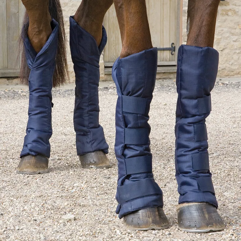 Horse Boots O Briens Saddlery Country Clothing