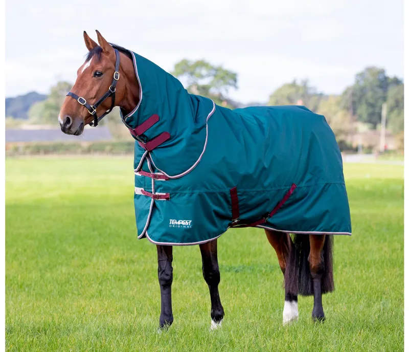 Tempest Original 200 Turnout Rug and Neck in GREEN