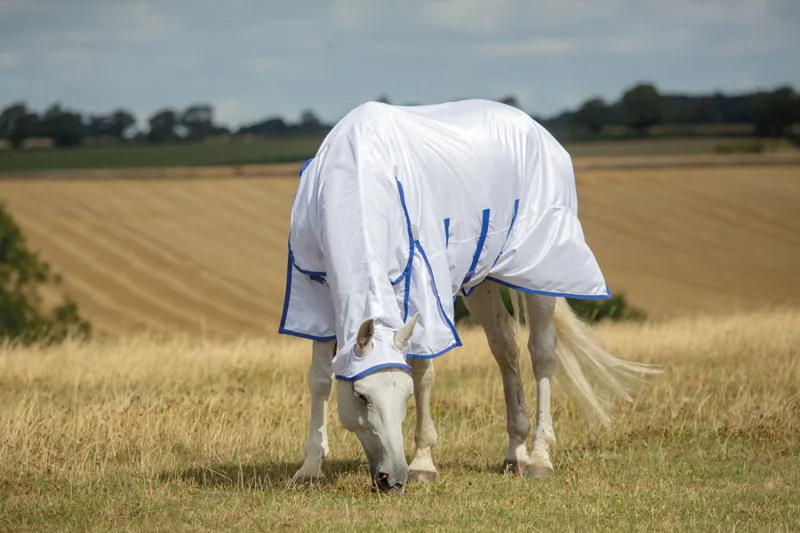 Shires Highlander Plus Fly Sheet Combo In White