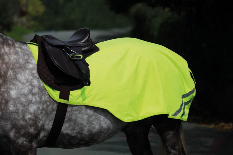 EQUI-FLECTOR Mesh Exercise Sheet in ORANGE