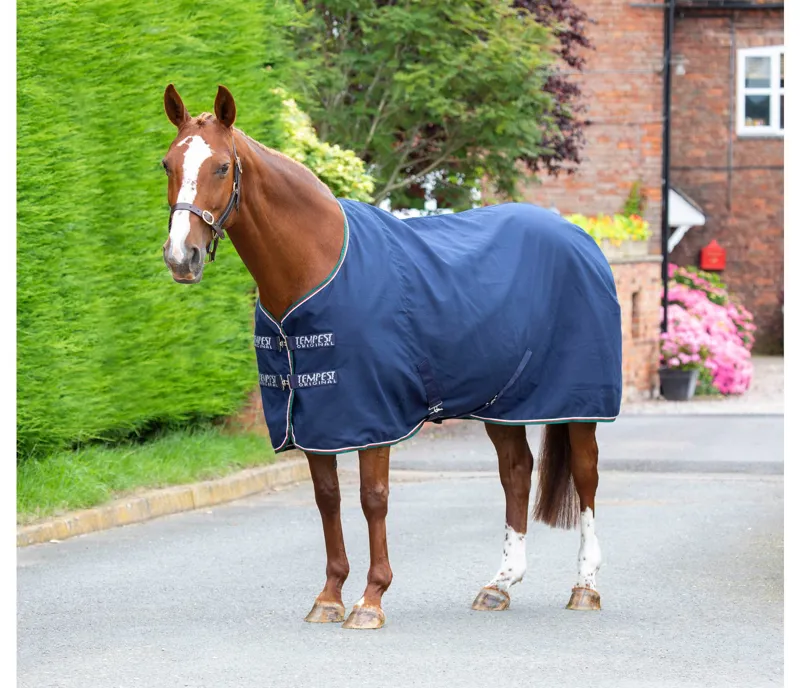 Tempest Original Stable Sheet Rug in MARINE