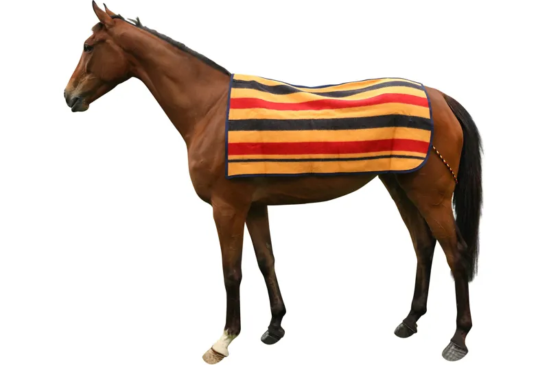 Breeze Up Newmarket Wool 1/4 Sheet yellow 