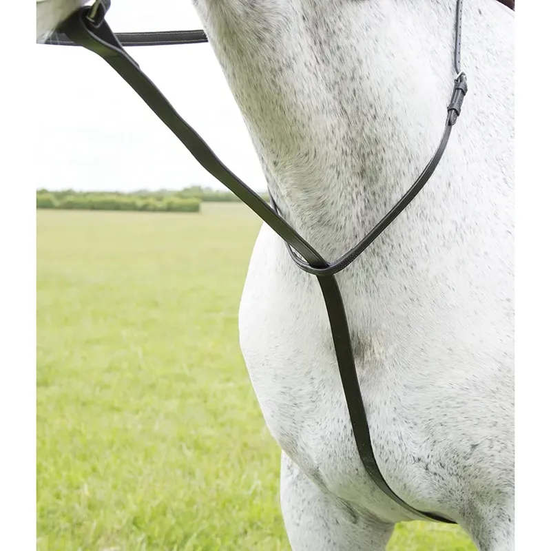 Velociti GARA Standing Martingale in HAVANA