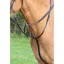 Velociti GARA Running Martingale in BLACK