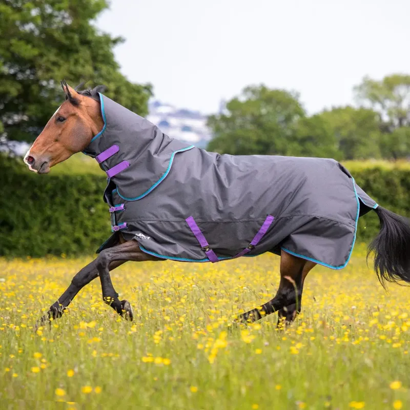 Tempest Original 300 Turnout Rug and Neck in BLACK