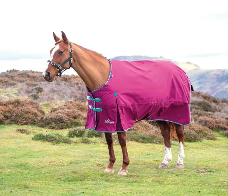 Highlander Original 300 Turnout Rug in RSPBRY