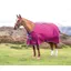 Highlander Original 300 Turnout Rug in RSPBRY