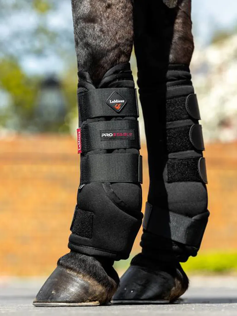 LeMieux Stable Boot Black