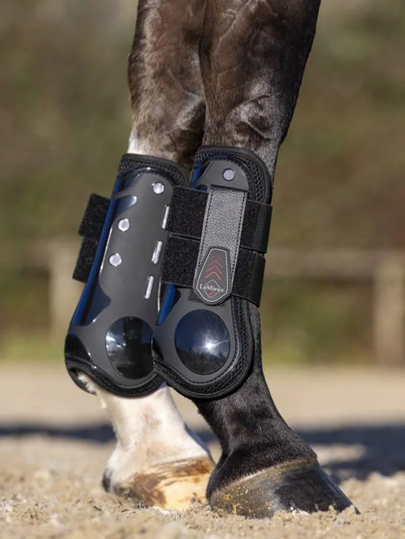 Derby Projump Tendon Boot Black-1
