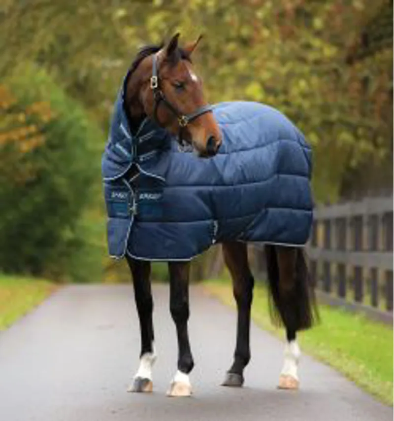Horseware Amigo Insulator Heavy incl. Hood
