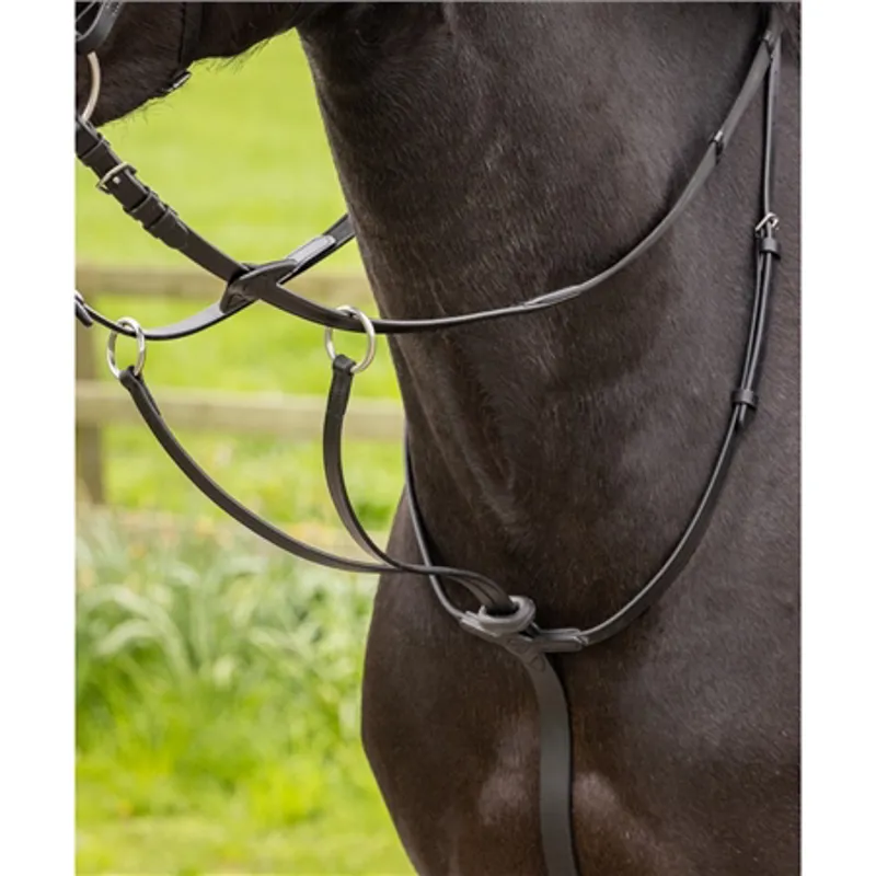 Le Mieux Arika Running Martingale Black/Silver-1