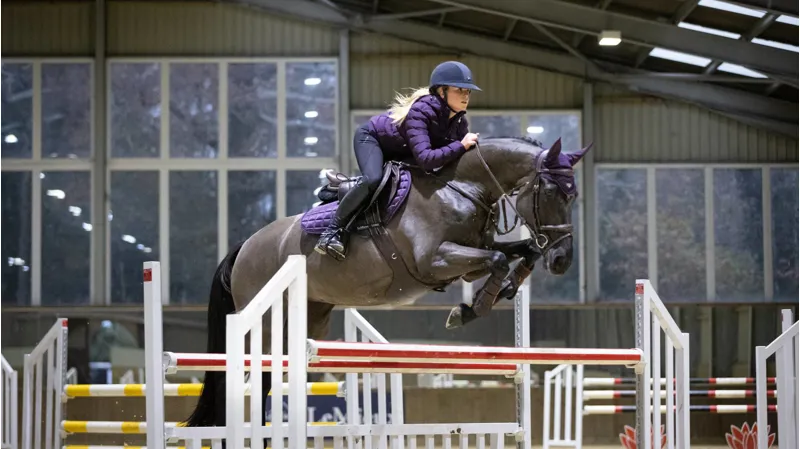 LeMieux Loire Classic Close Contact Sqaure Blackcurrant Large-1