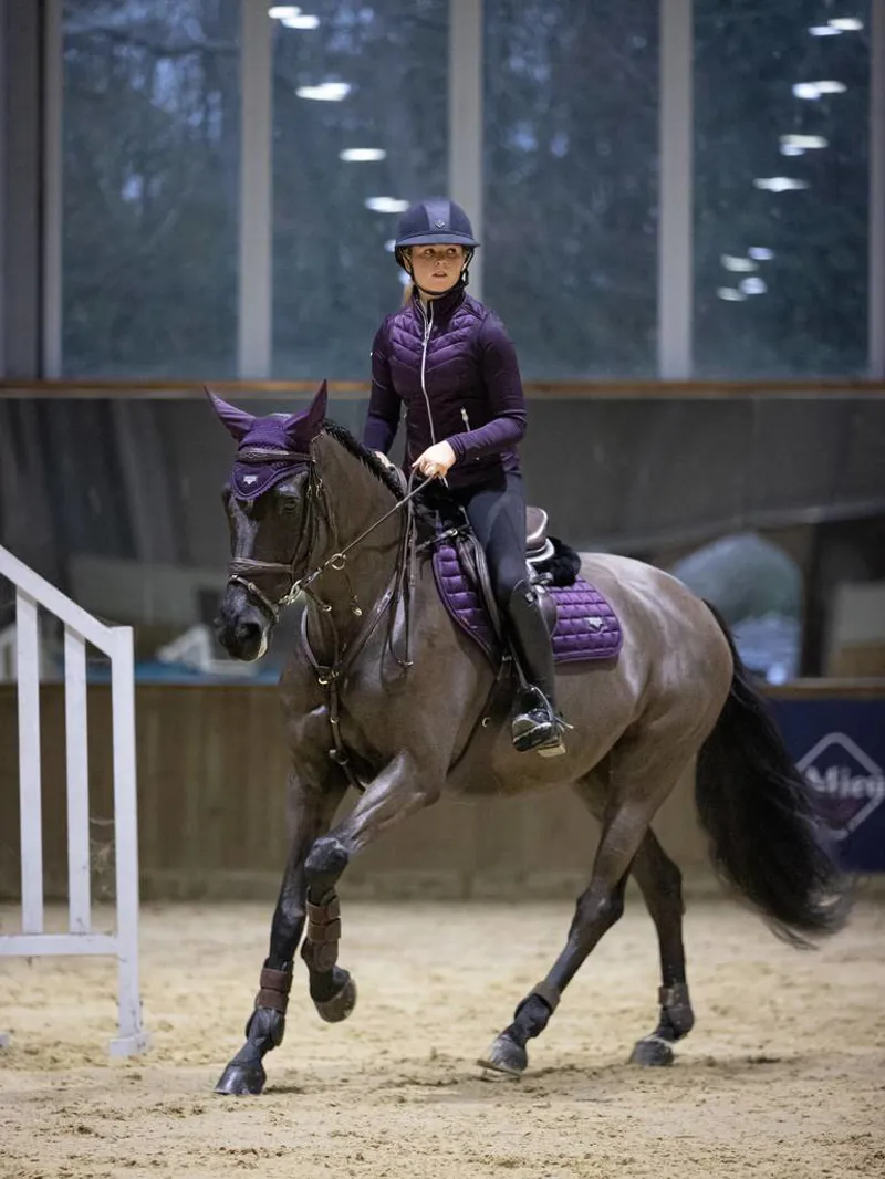 LeMieux Loire Classic Close Contact Sqaure Blackcurrant Large-2