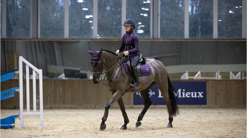 LeMieux Loire Classic Close Contact Sqaure Blackcurrant Large-3