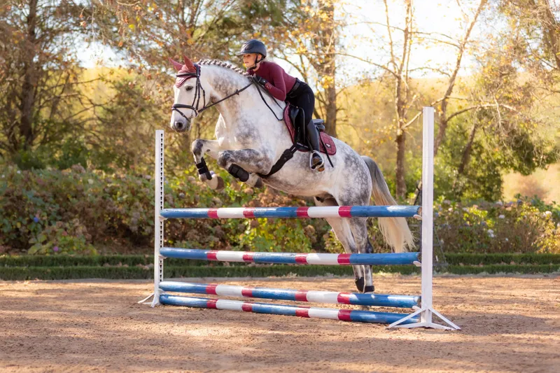 LeMieux Loire Classic Close Contact Square Orchid-5