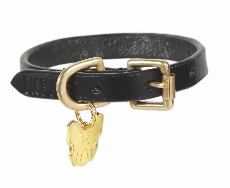 Digby and Fox Flat Leather Dog Collar in BLACK