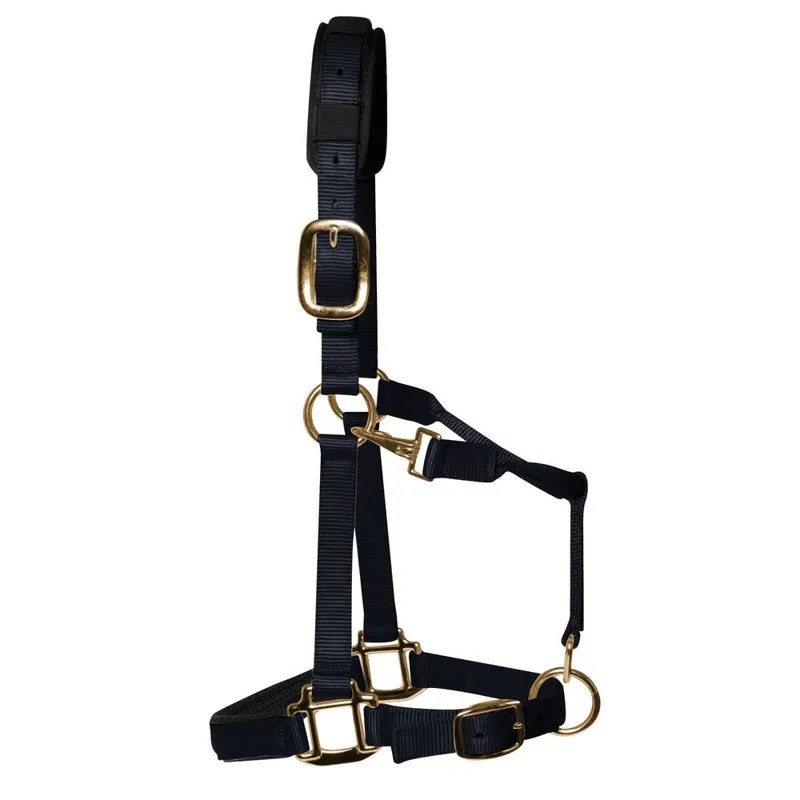 KM Elite Padded Headcollar in Black