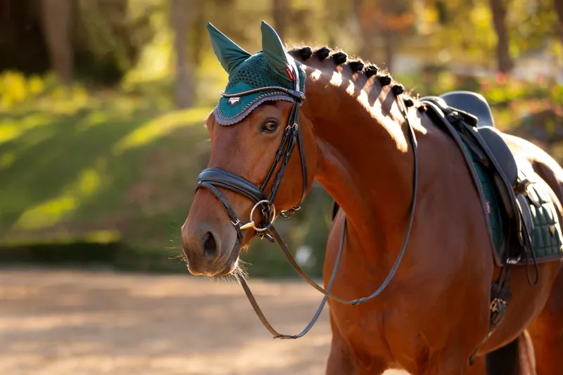 LeMieux Classic Loire Fly Hood Spruce