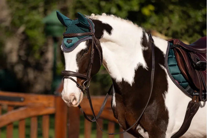 LeMieux Classic Loire Fly Hood Spruce-1