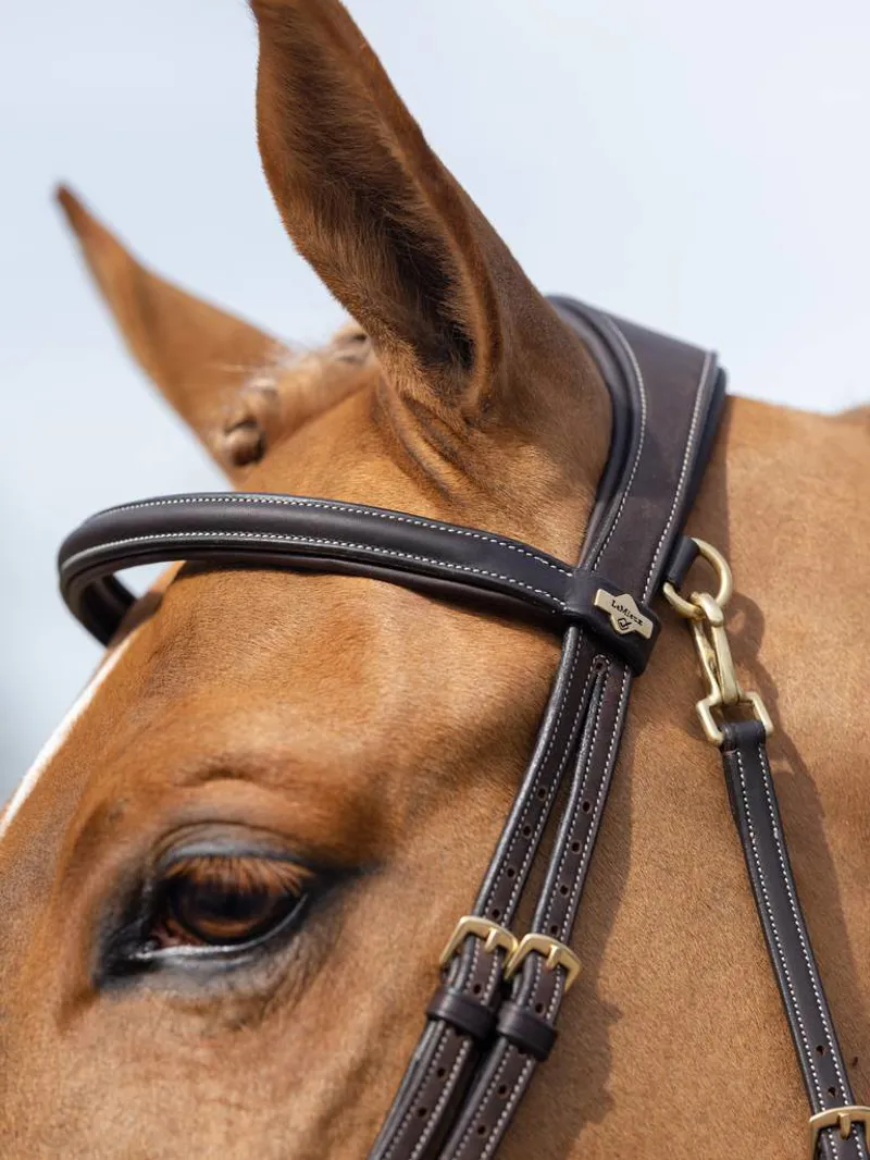 Le Mieux Kudos Work Bridle Brown-1