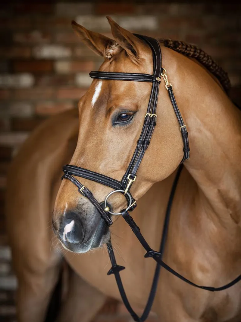 Le Mieux Kudos Work Bridle Brown