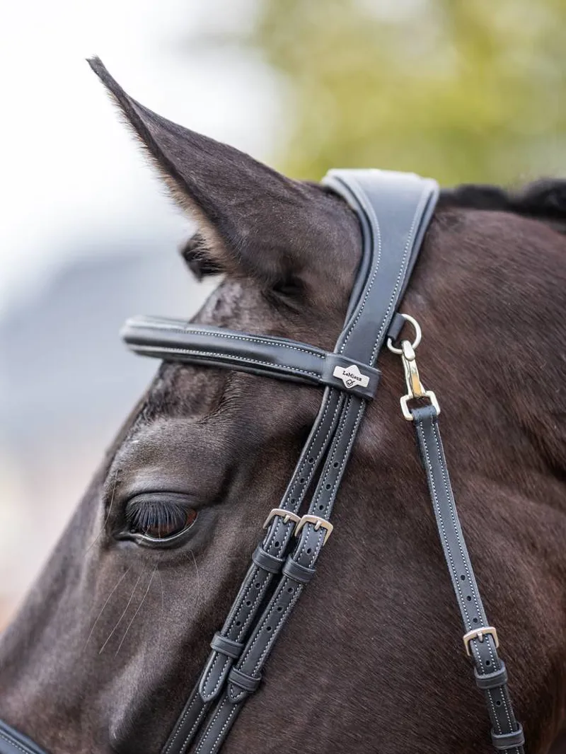 LeMieux Kudos Work Bridle Black-1