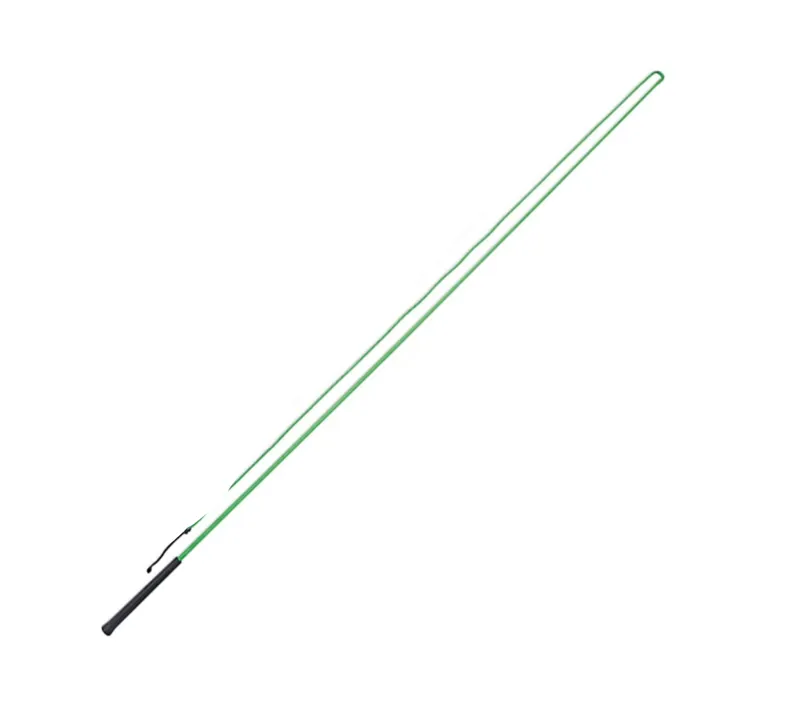 Shires 63 Inch Lunging Whip in Green